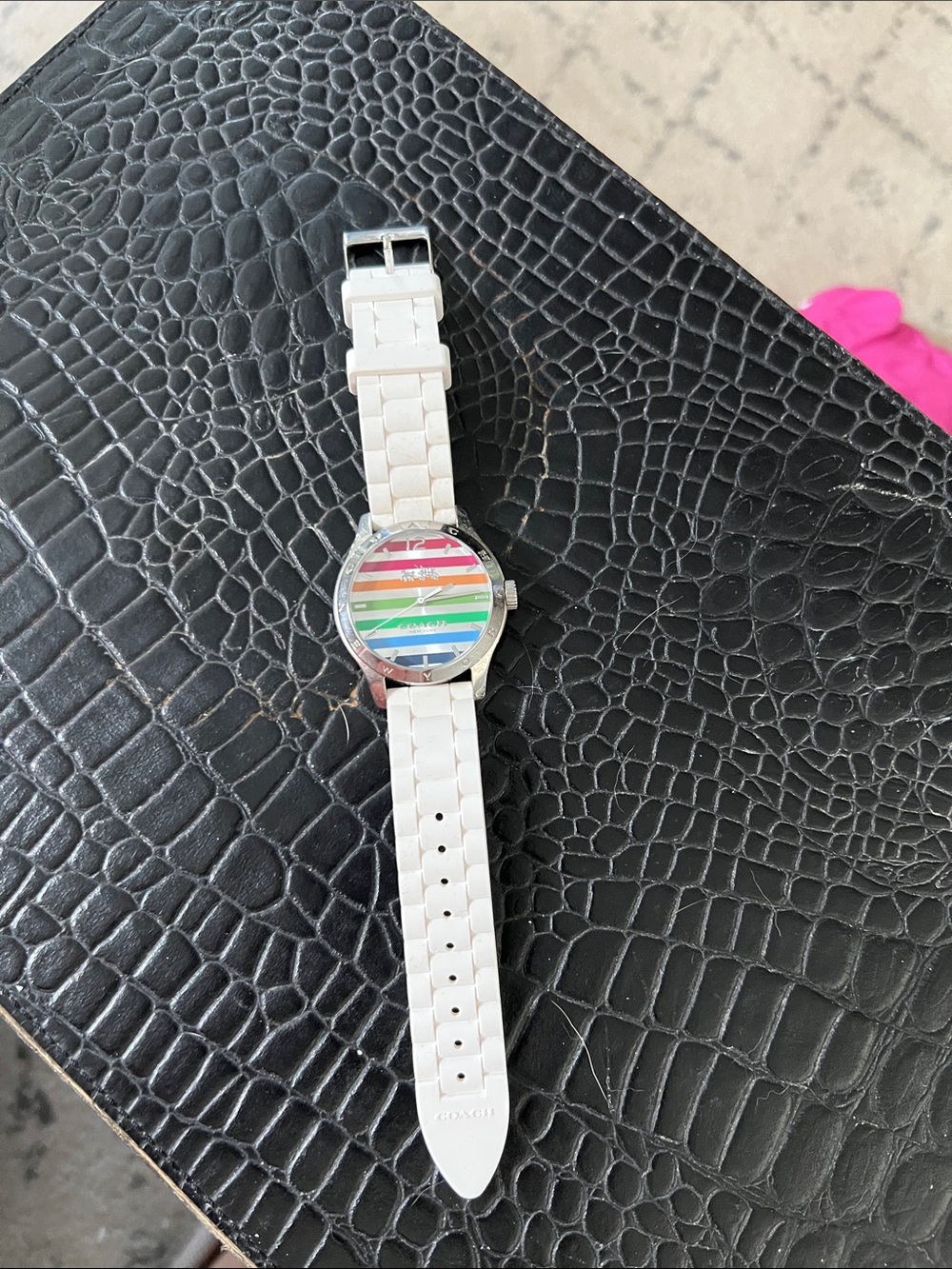 Coach Pride/Rainbow watch